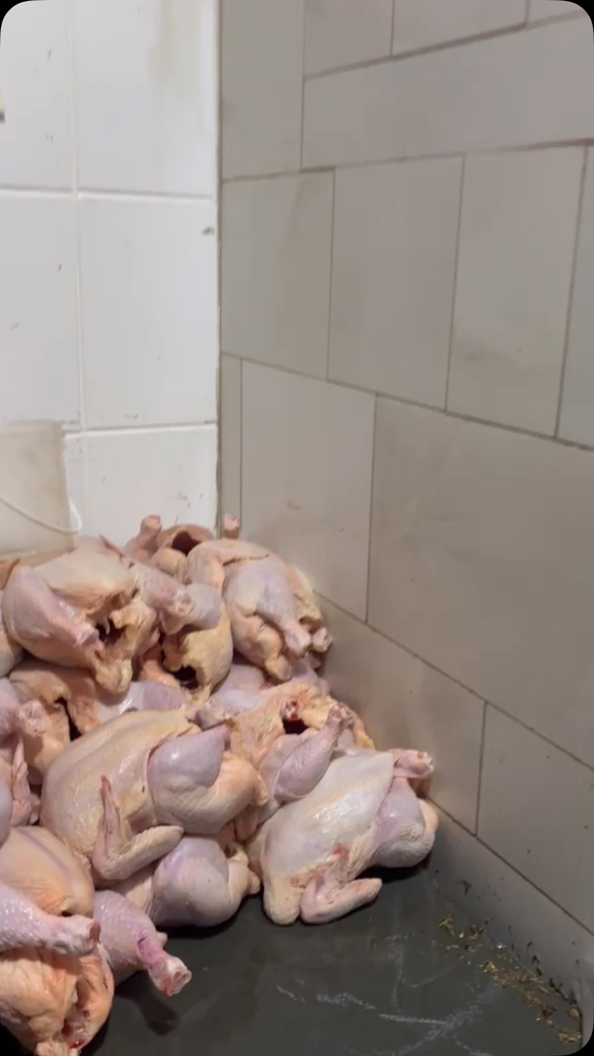No momento, você está visualizando Como Limpar e Temperar Frango Assado para Comércio?